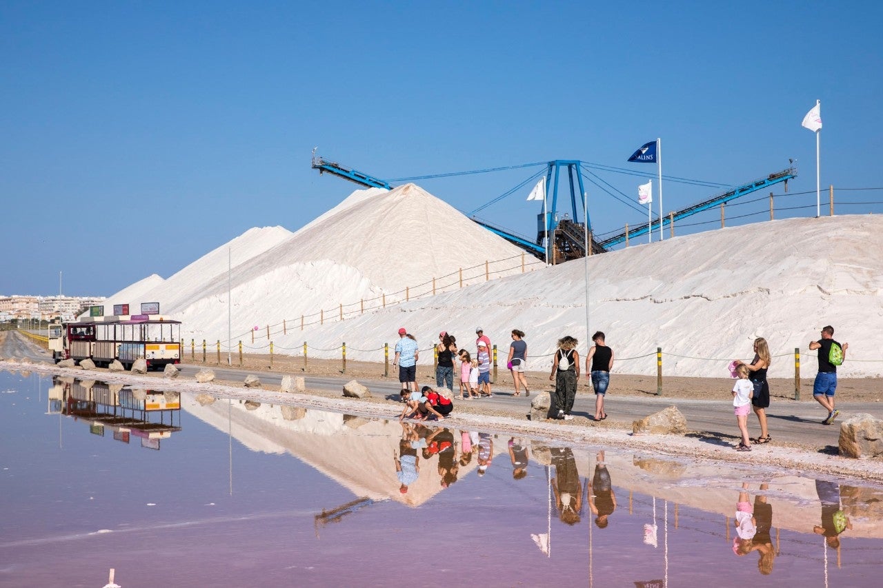 Salinas de Torrevieja