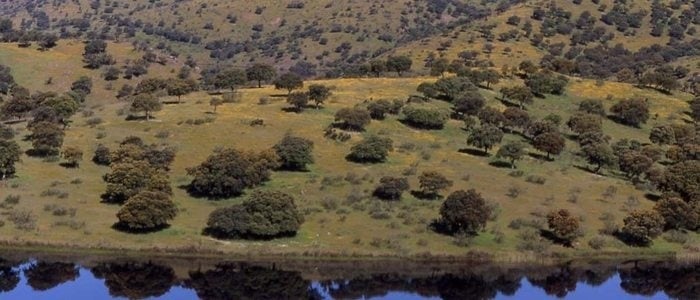 Panorámica valle de Alcudia.