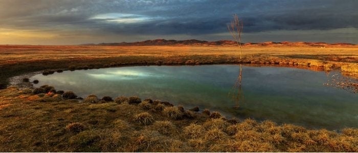 Laguna Gallocanta, un paraíso para las aves.