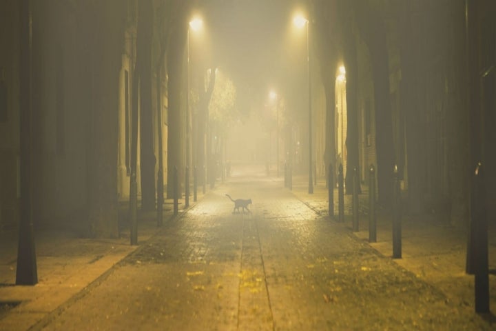 Calle con niebla.