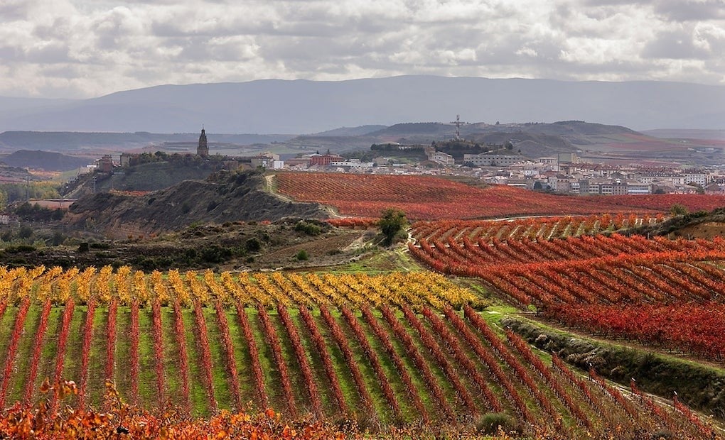 Los 10 lugares imprescindibles de Haro