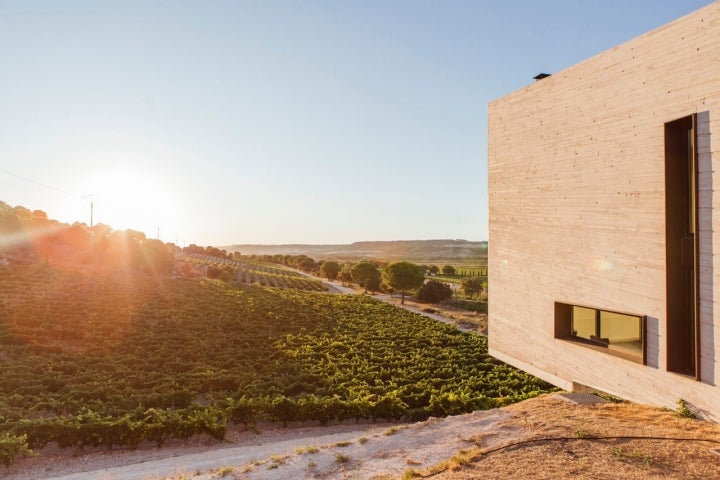 4/9/2019. Valladolid. Carretera VA-122. Bodega Valdemonjas. Foto de César Cid.