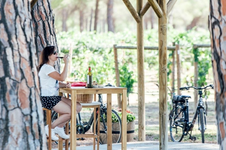 La finca tiene una zona de pícnic con pérgola para descansar del paseo.