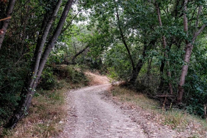 Camino del Río Tiétar.