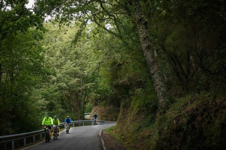 Carretera para perderse en la Ribeira Sacra con ciclistas