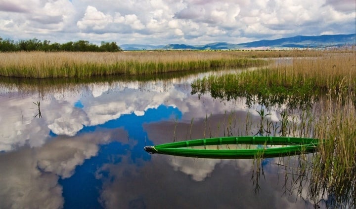 Las Tablas de Daimiel, un lugar único en Europa. Foto: Guillén Pérez (permisos cedidos a guiarepsol.com).