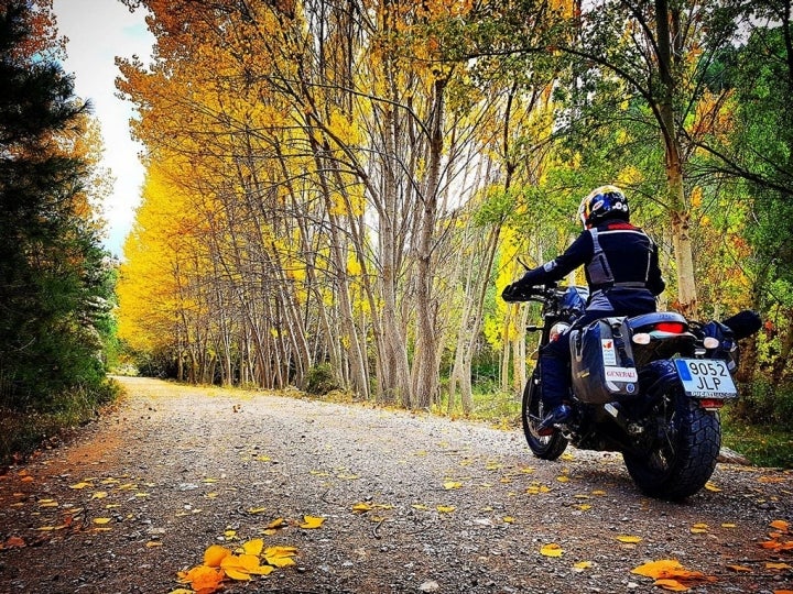 Rodando entre bosques otoñales. Pura magia.