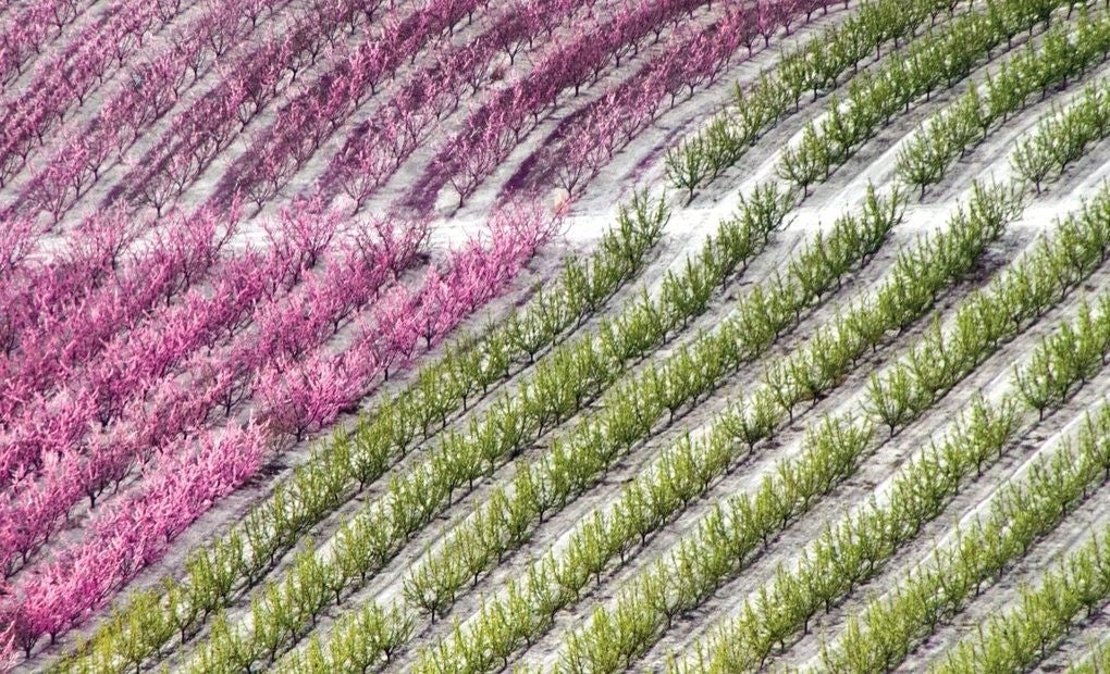 Diez lugares para dar la bienvenida a la primavera