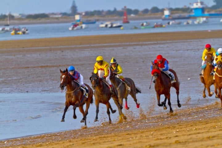 Las carreras de caballos en las playas de este municipio gaditano son uno de sus grandes atractivos. Foto: Shutterstock.