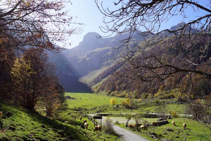 Un idílico entorno en pleno Valle de Arán. Foto: Shutterstock.