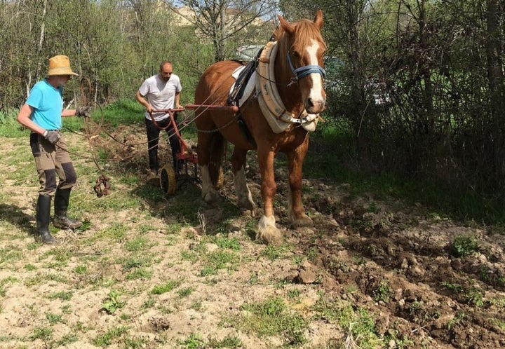 Aprendiendo a arar el campo a la manera tradicional, en 'Outback Spain'. Foto: Outback Spain.