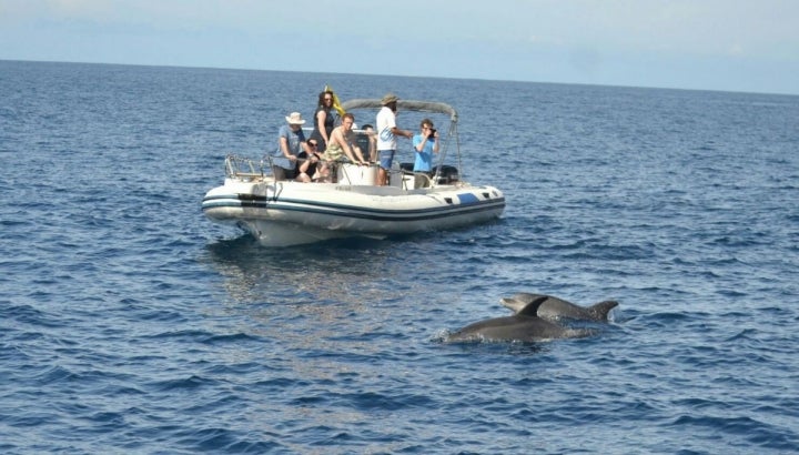 Se apaga el motor por respeto al ecosistema marino.