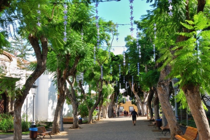 Las calles de Icod de los Vinos también se visten de fiesta.