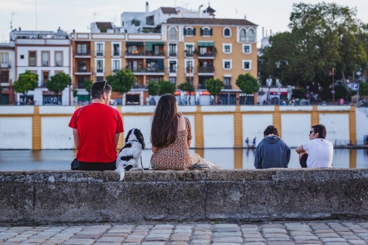 El mejor banco fluvial está formado por los largos muros del muelle del antiguo arenal de Sevilla.