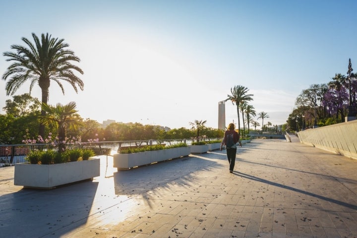 paseo frente maestranza sevilla