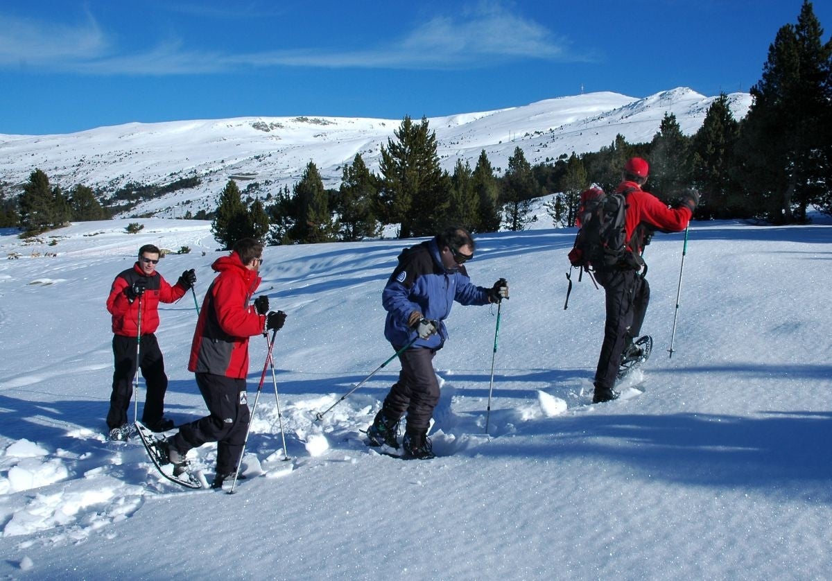 TORNAL MOYA - Esquí, Nieve, Deportes