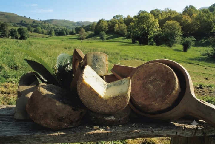 El queso cabrales es el auténtico protagonista de este certamen gastronómico.