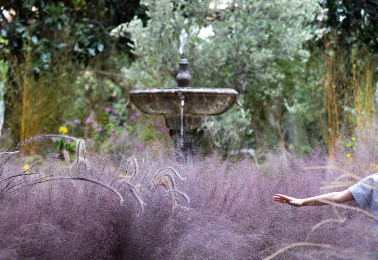 Festival FLORA (Córdoba)