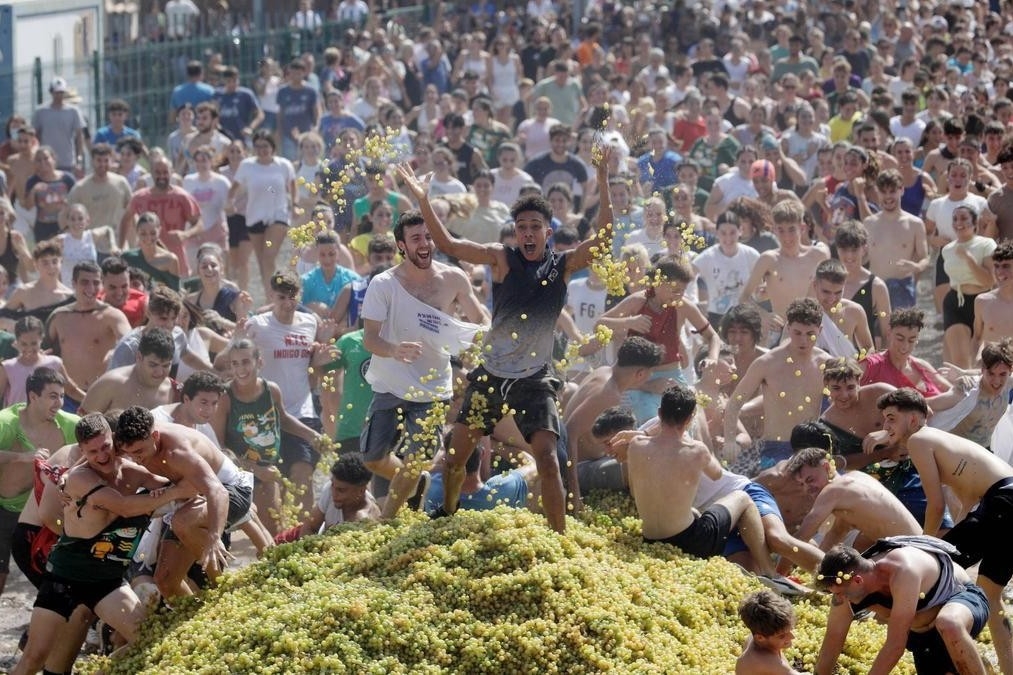 En la Bataia de Raïm, toneladas de uva no vinificable se transforman en munición festiva. 