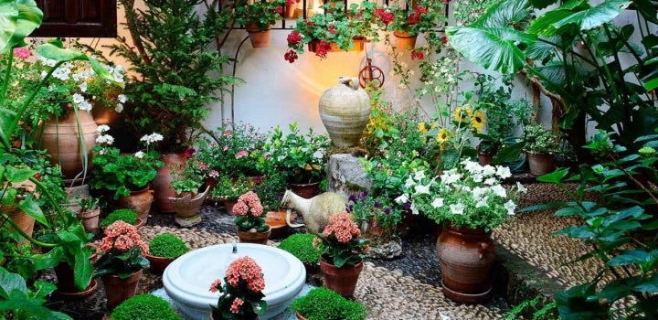 Patio engalanado para la Fiesta de Patios de Córdoba.