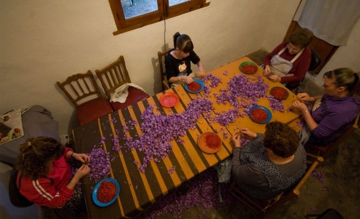 La monda de las flores de azafrán.