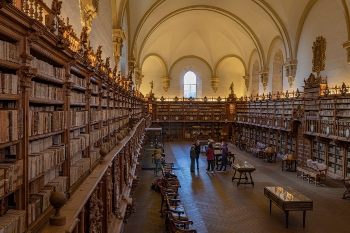 Vista de la sala abovedada de la Biblioteca Histórica, una belleza.