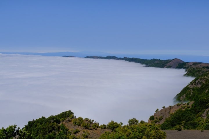 Cosecha de Pina en la isla canarias de El Hierro,