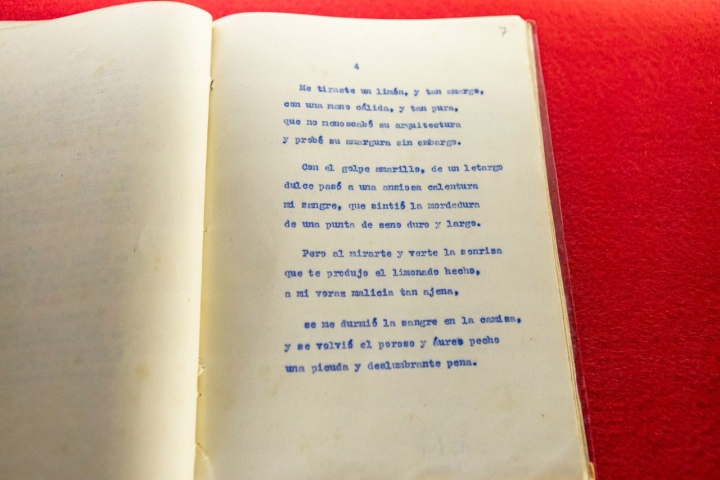 Poemas de El Rayo que no cesa de Miguel Hernández.
