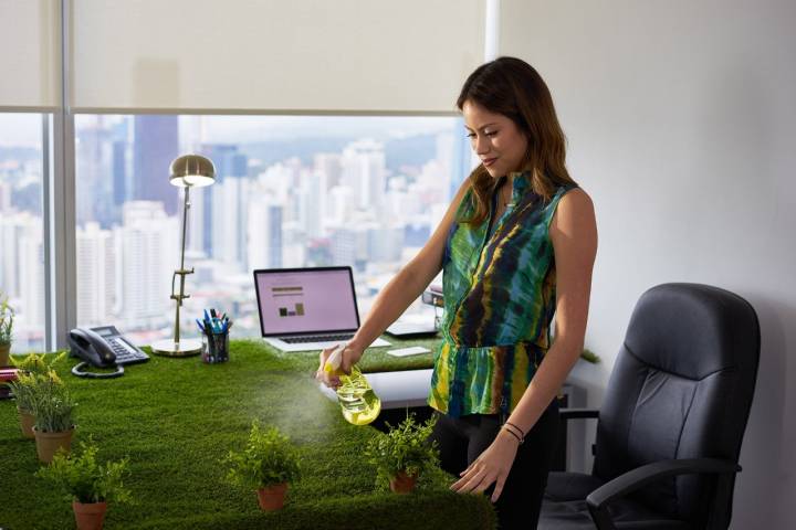 Convierte tu oficina en un pequeño bosque. Foto: Shutterstock.