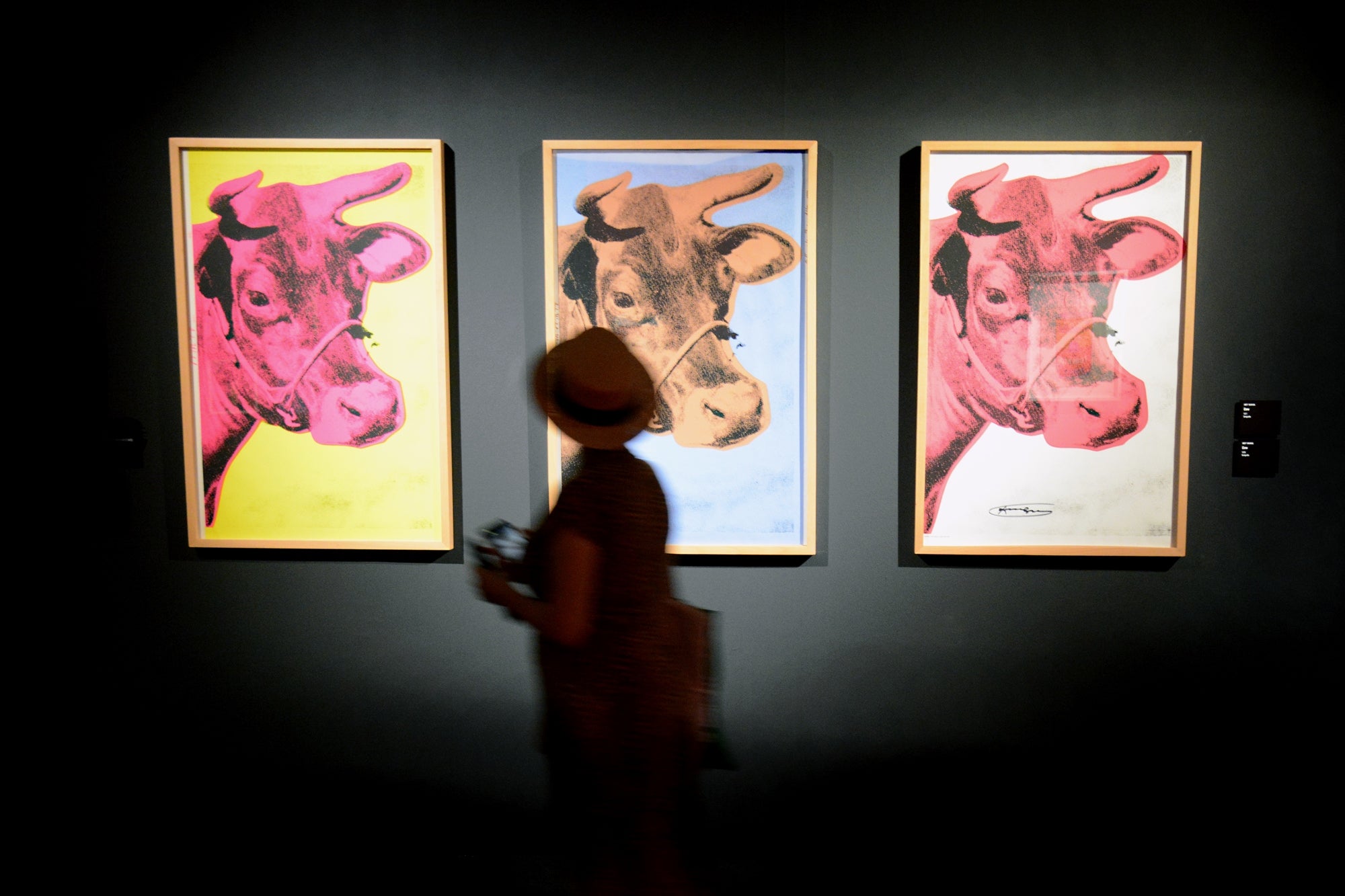 Warhol cows