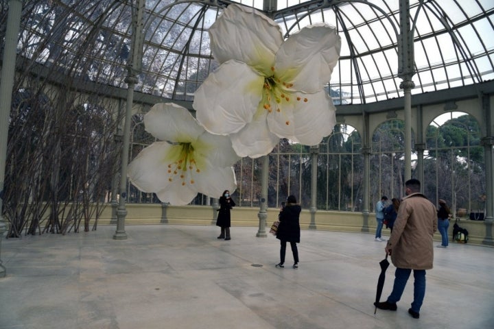 Exposiciones Madrid: 'Petrit Halilaj' en el Palacio de Cristal