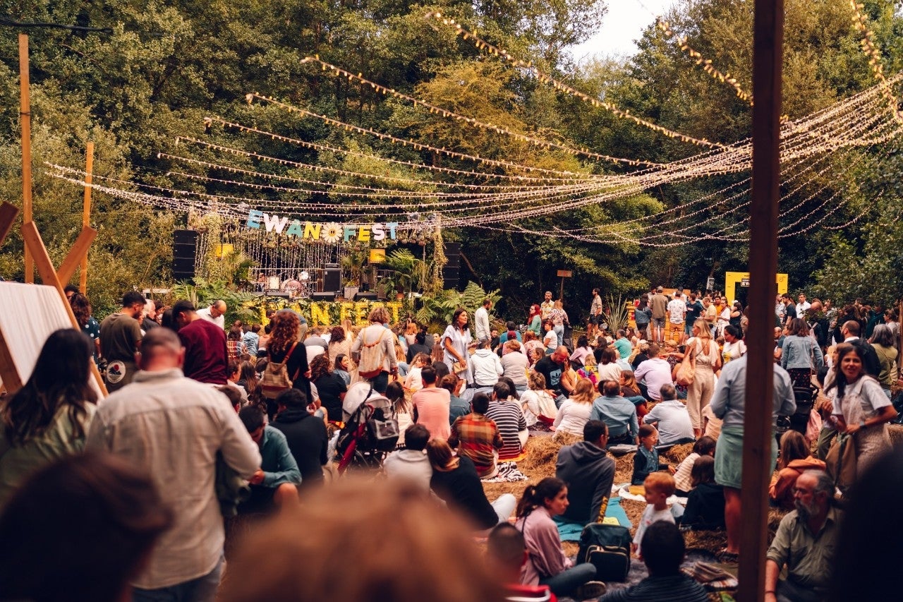 Música y luz en el bosque del Agüil