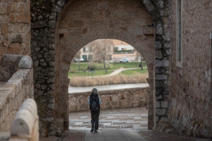 Puerta de Olivares Zamora