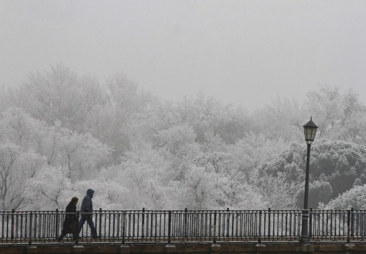 Hielo Zamora