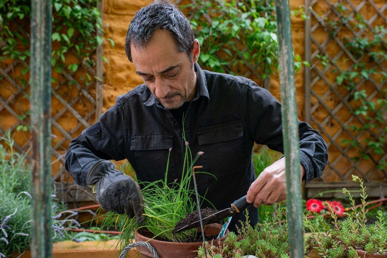 Planta tomates, aromáticas y fresas en el balcón