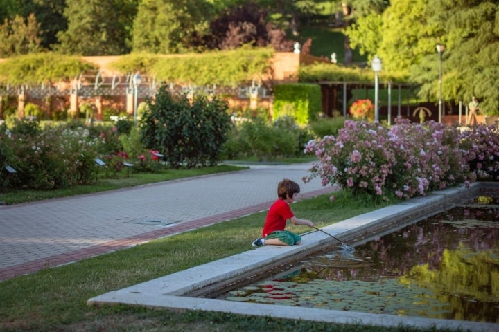 Rosaledas - Parque Oeste