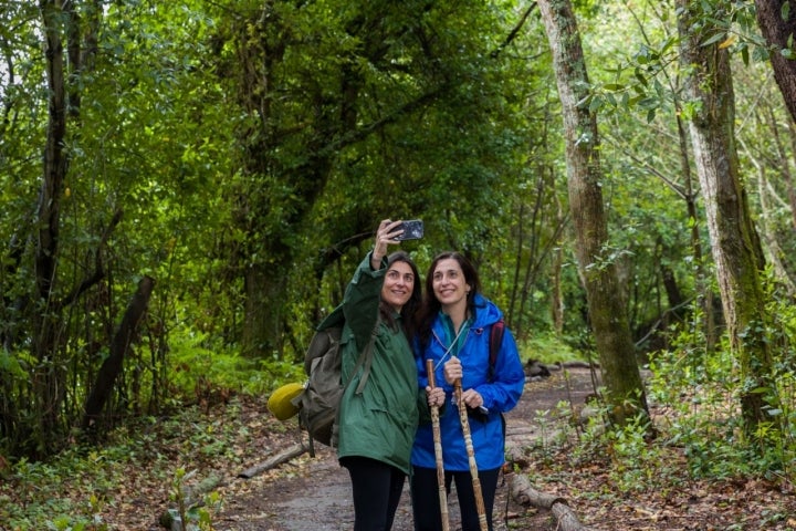 Prepara tu móvil porque el Camino te depara multitud de sorpresas para fotografiar.