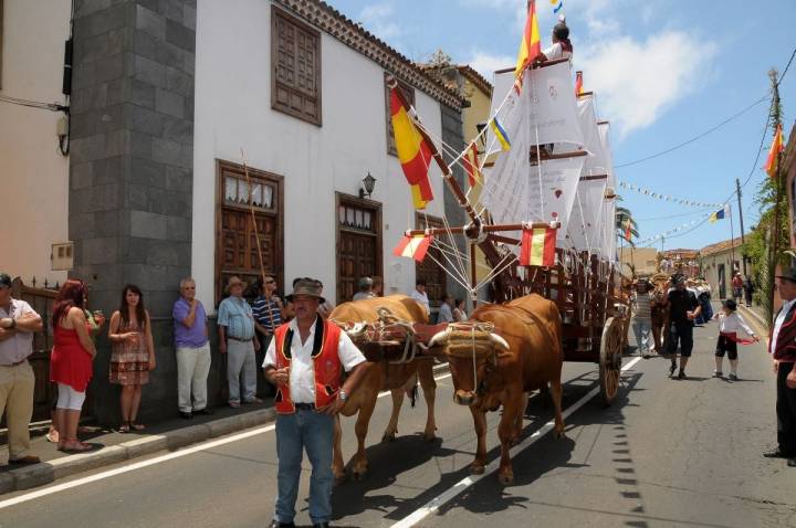 Los bueyes tiran de una carreta con un barco durante la romería de San Isidro Labrador en Tacoronte, Tenerife.