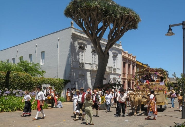 Las romerías canarias se celebran durante la primavera y el verano, cuando las cosechas dan sus frutos y comienza la recolección.