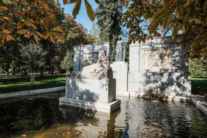 Fuente Ramón y Cajal.