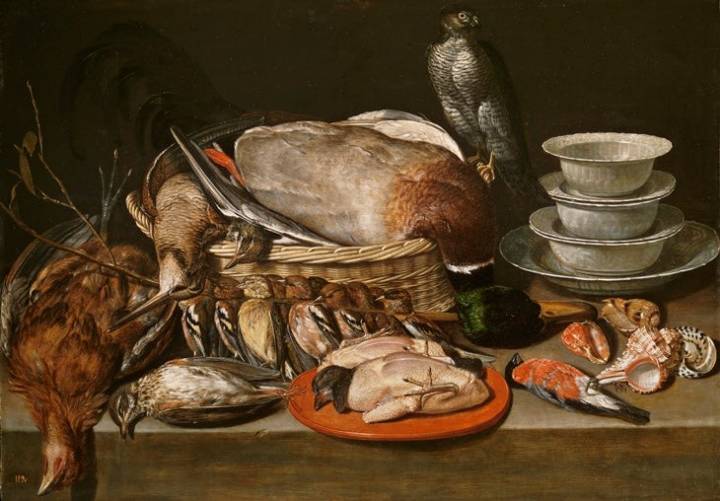 Bodegón con gavilán, aves, porcelana y conchas.