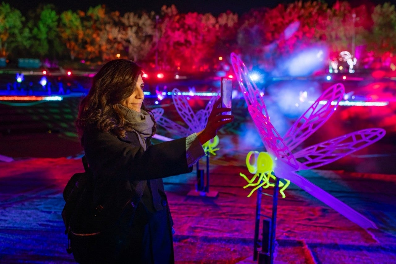 Un enjambre mágico ilumina la Navidad