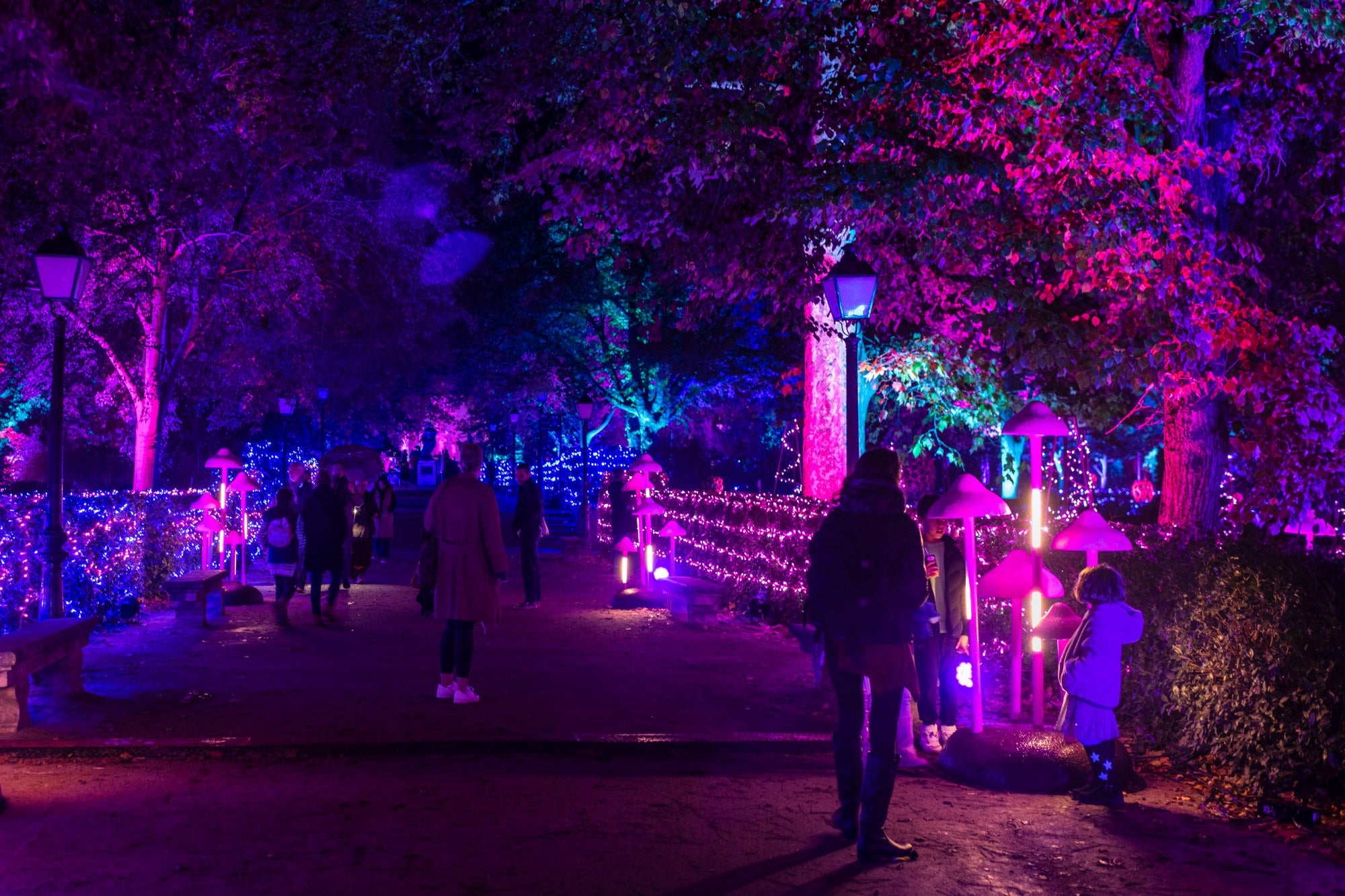 Encendido luces navidad Botánico de Madrid