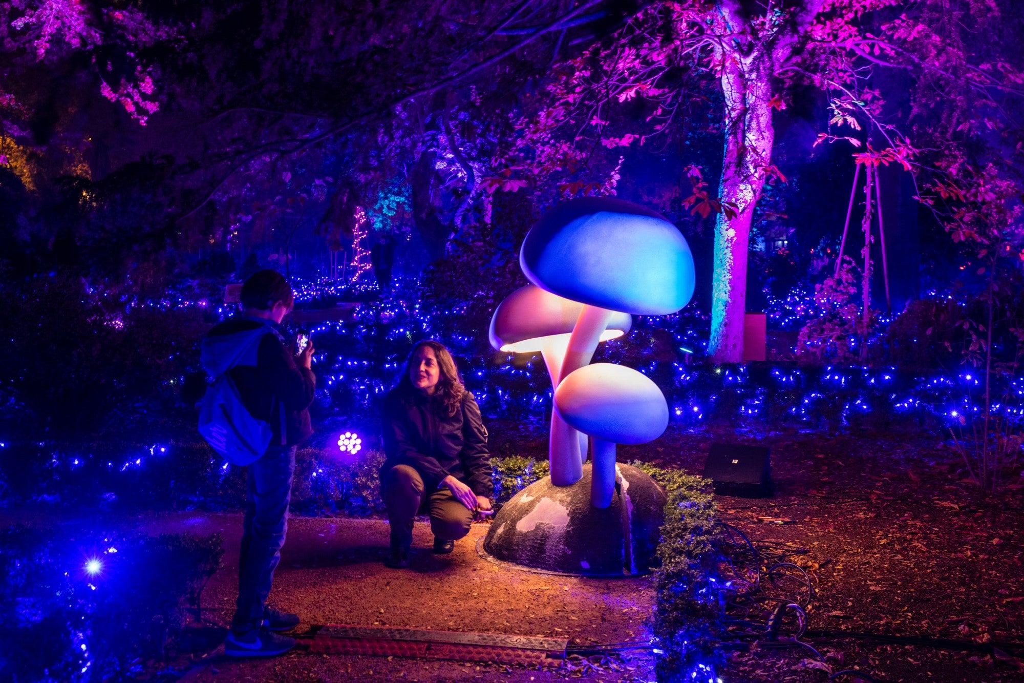 Encendido luces navidad Botánico de Madrid