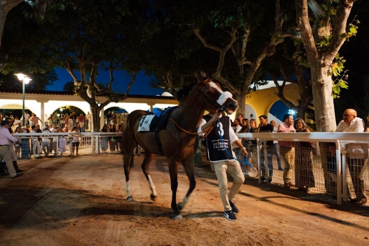 Noches del Hipódromo