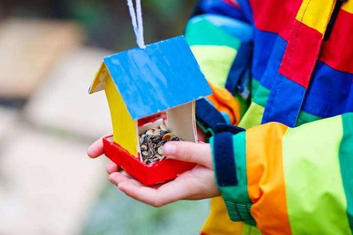 Aprovecha estos días para construir un pequeño refugio para aves en tu balcón. Foto: Shutterstock.