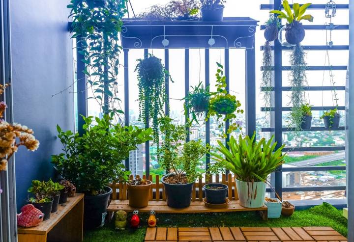 Crea un pequeño jardín en tu terraza. Foto: Shutterstock