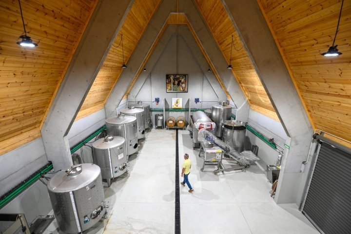 La bodega de María Manuela produce  7.500 botellas anuales.