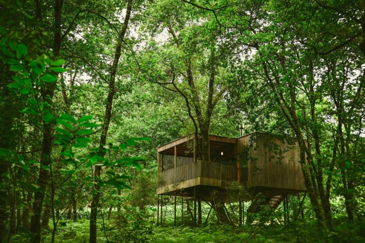 Las cabañas se integran perfectamente en el paisaje.