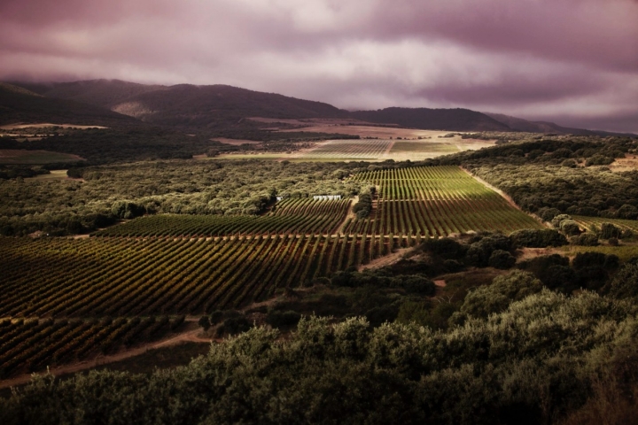 En Bodegas Vivanco podrás descubrir cómo influye la Luna en los cultivos.